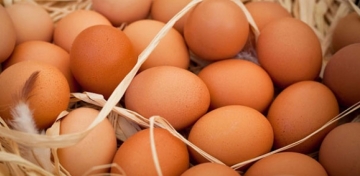 Organik yumurtay ayrt etme yollar