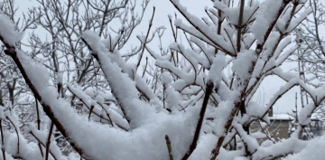  Kayseri kent merkezine sezonun ilk kar yad