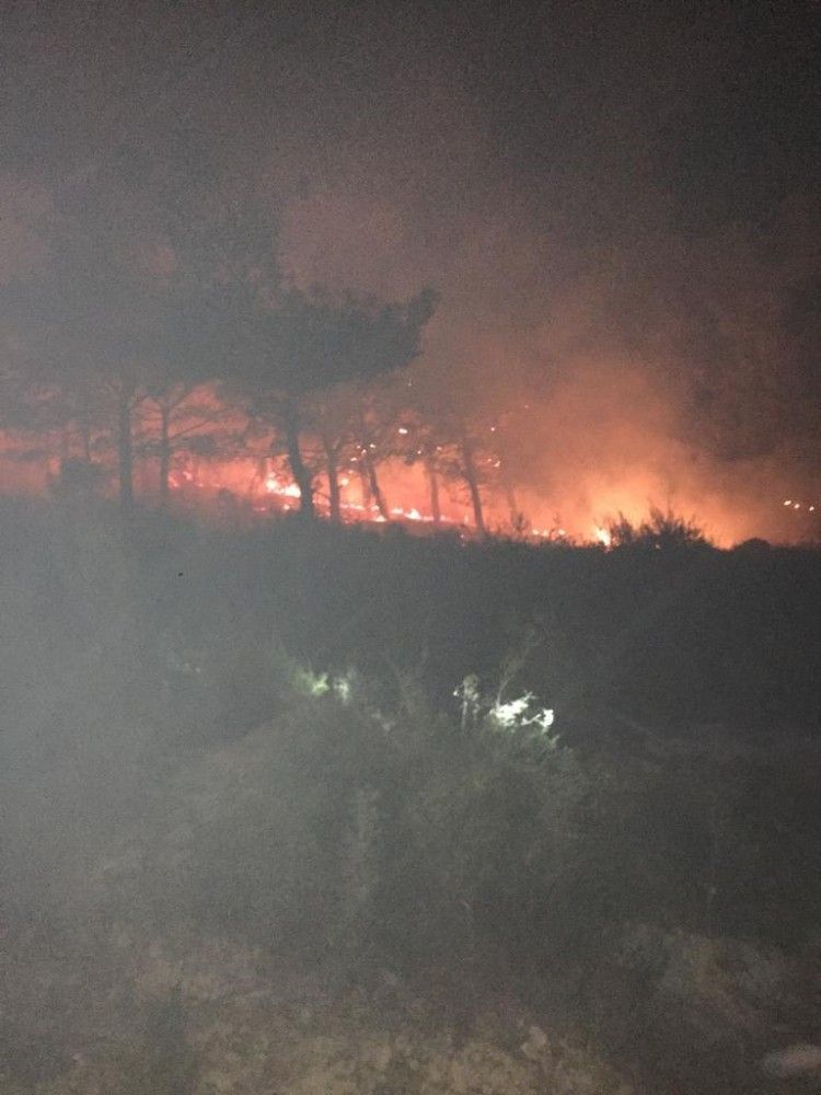 Manavgat´ta orman yangını