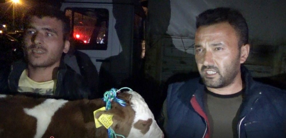 Çalınan hayvanlarına kavuşan vatandaşlar büyük sevinç yaşadı