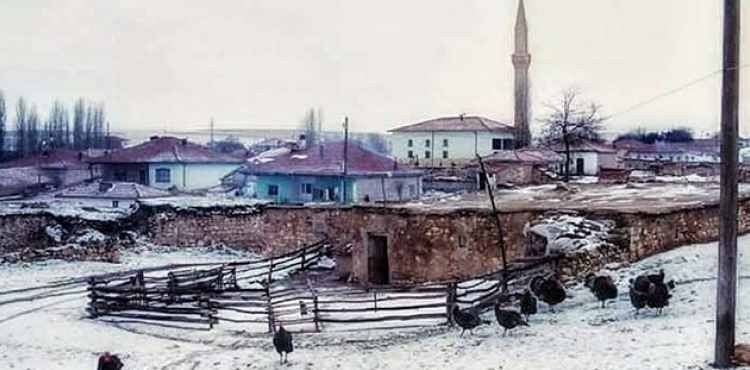 Kayseri'den sonra Krehir'de kpek saldrs