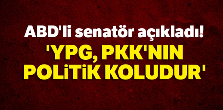 ABD'li senatr Lindsey Graham: 'YPG, PKK'nn politik koludur'