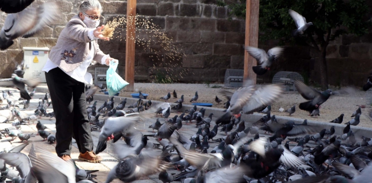 Kayseri'de sokaa kma kstlamasnda gvercinleri beslediler