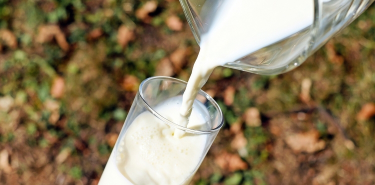 Ulusal Süt Konseyi duyurdu: Çiğ süt 8 buçuk liraya yükseldi