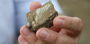 Sivas'ta dnya tarihine k tutacak fosiller bulundu