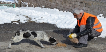 Sokaktaki hayvanlar iin Trkiye'de bir ilk olarak Pati Park' yapld
