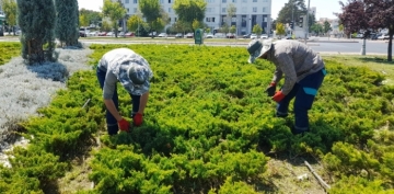 BYKEHR, YABANCI OTLARLA MCADELE VE BAKIM ALIMALARINA HIZ VERD