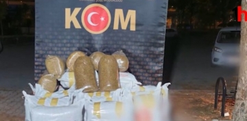 KOM ube 655 kilogram kaak ttn ele geirdi    