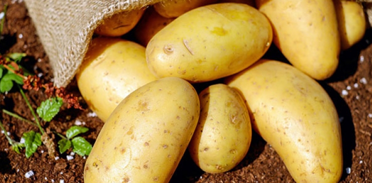Bakanlk: reticilerden patates ve kuru soan almna baland