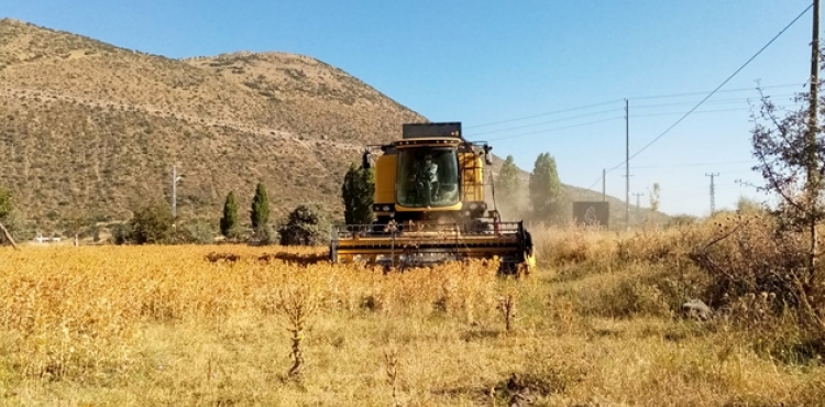 FT BELEDYE TALAS, MD DE ASPR HASADI YAPTI