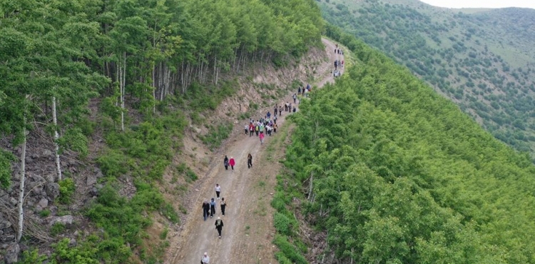 Bakan Ylmaz, Ortaseki Ormanlarnn turistik alan olmas lazm