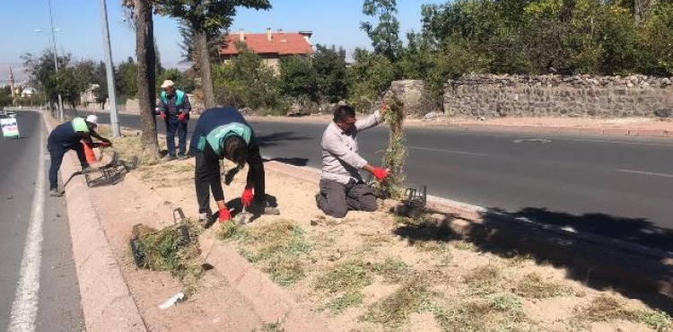 BYKEHRDEN 130 BN BTK LE PEYZAJ ALIMASI