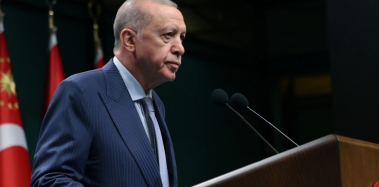 Cumhurbakan Erdoan: Yangnlarda sorumluluu olduu tespit edilen 31 kii gzaltna alnd