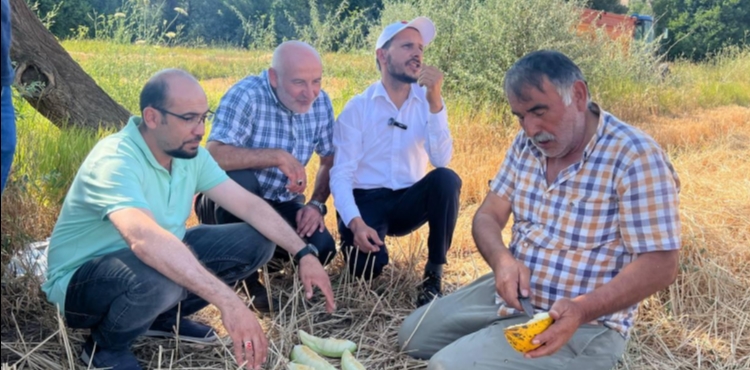 Saadet Partisi Kocasinan'dan iftilere Tarlada izi olmayann harmanda yz olmaz