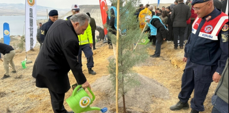 AL DAININ ZRVESNE 1111 FDAN