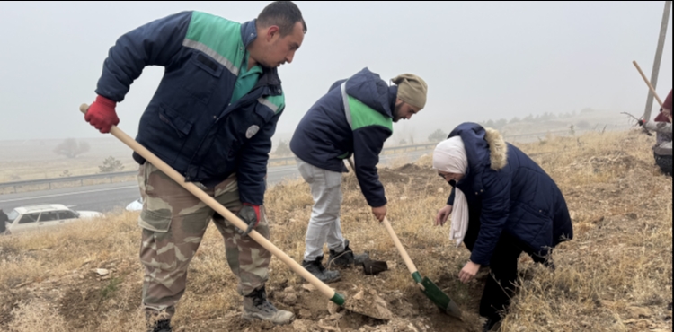BÜYÜKŞEHİR, AĞAÇLANDIRMA ÇALIŞMALARINA 1200 FİDANLA YAHYALI’DA DEVAM ETTİ
