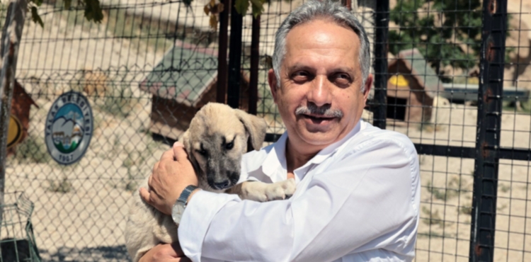 TALAS PAT�EV� DO�AL YA�AM ALANI 500 CAN ���N SE�K�N B�R YUVA