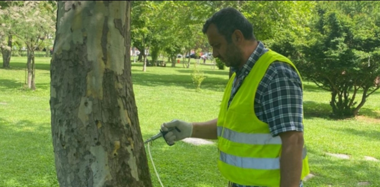 KAYSER� B�Y�K�EH�R�DEN YE��L ALANLARDA �EVREC� VE ETK�N M�CADELE