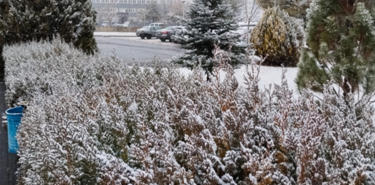 Kayseri'de kar ya���� etkili oldu