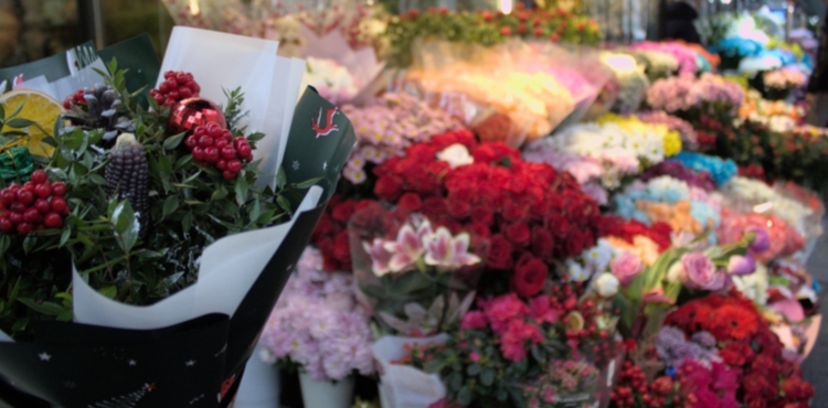 Y�lba�� �i�e�i kokinaya talep 3 kat artt�