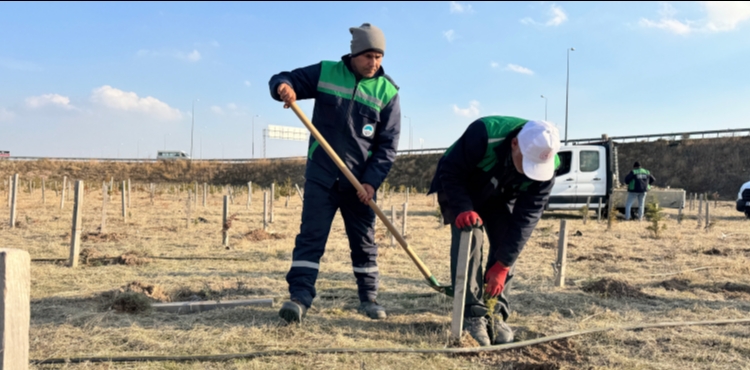 B�Y�K�EH�R�DEN KENT�N YE��L ALAN VARLI�INA DESTEK: 3 B�N 200 F�DAN TOPRAKLA BULU�TU