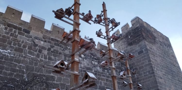 Kayseri�de g�vercinler, dondurucu so�ukta ah�ap yuvalar ile korunuyor