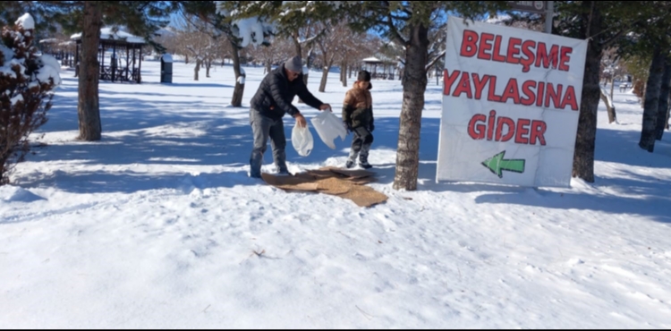 Develi�de yaban hayvanlar�na yem b�rak�ld�