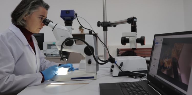 KAD�M KENT�N TAR�H� VE K�LT�REL ZENG�NL���NE SAH�P �IKAN B�Y�K�EH�R