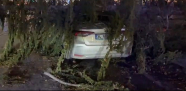 Kayseri�de �iddetli r�zgar a�ac� otomobilin �zerine devirdi