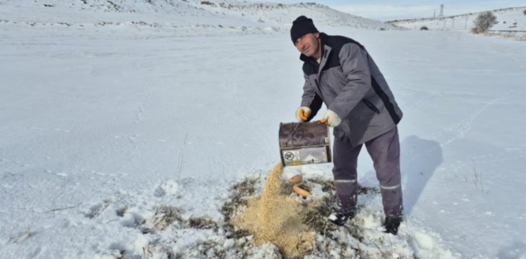 B�nyan'da sokak hayvanlar�na yem deste�i 