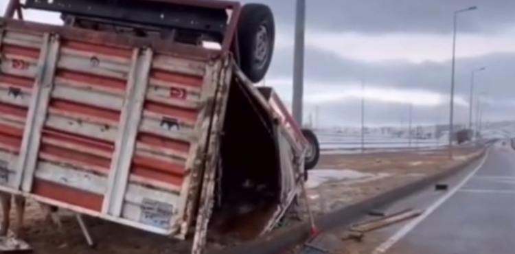 B�y�kba� hayvan ta��yan kamyonet devrildi; hayvanlar yola savruldu