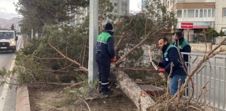 KAYSER� B�Y�K�EH�R, R�ZG�RA KAR�I TEYAKKUZDA