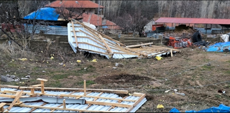 Akk��la�da f�rt�na ev ve a�a�lara zarar verdi