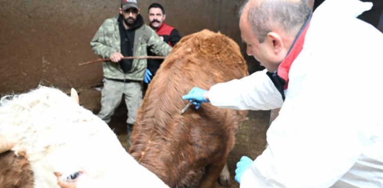 Kayseri�de ilkbahar d�nemi �ap a��lama kampanyas� ba�lad�