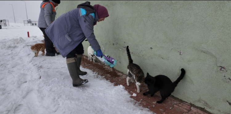 BÜYÜKŞEHİR’DEN “DİLSİZ DOSTLARA” MERHAMET ELİ: SOĞUK GÜNLERDE SICAK BİR DOKUNUŞ