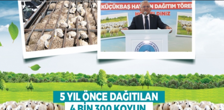 BA�KAN B�Y�KKILIǒTAN KIRSALA, KEND� KEND�N� B�Y�TEN MODEL: 150 B�N K���KBA� ARTI�I