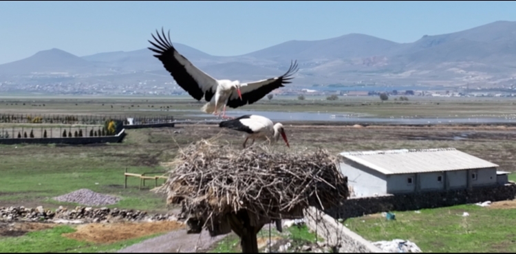 Do�an�n uyan���, H�rmet�i Sazl���'nda sahneleniyor