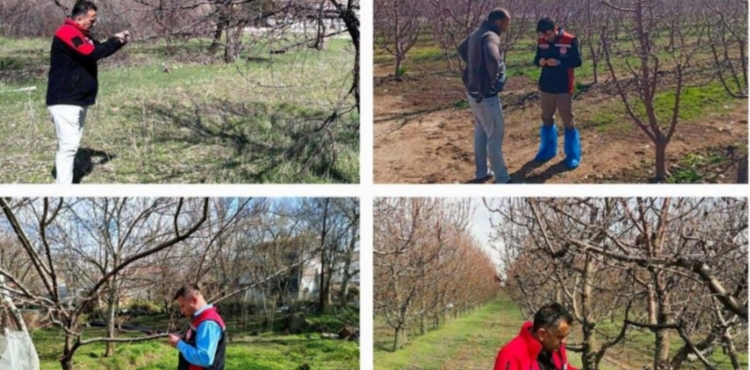 Tar�m ve Orman �l M�d�rl����nden �zirai don� a��klamas�