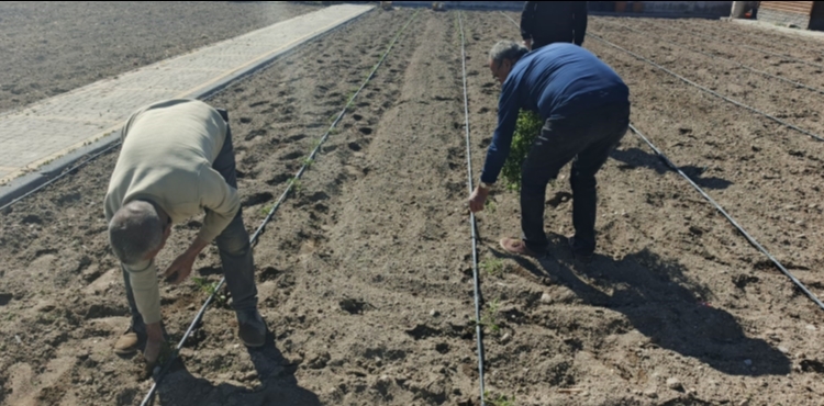 B�Y�K�EH�R��N DO�AL �R�NLER BAH�ES� VE PAZARI�NDA YEN� SEZON HAZIRLI�I