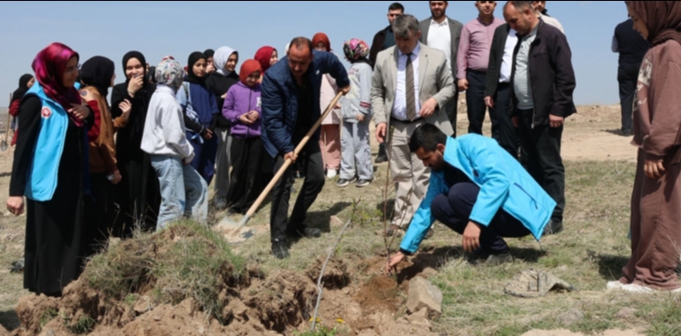 �ncesu�da fidanlar toprakla bulu�tu