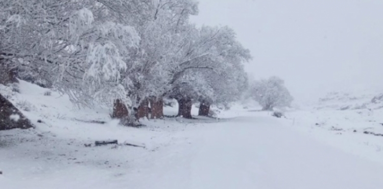 3 il�ede kar ya���� etkili oldu