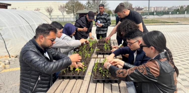 B�Y�K�EH�R�DEN �N�VERS�TE ��RENC�LER�NE UYGULAMALI ORGAN�K TARIM E��T�M�