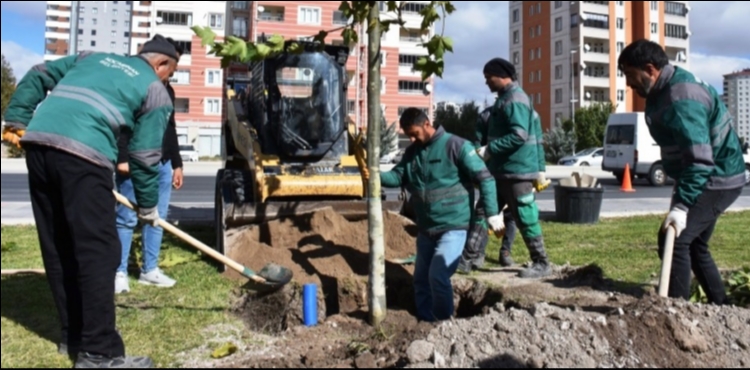 KOCAS�NAN, YE��L HAMLE �LE GELECE�E NEFES OLUYOR