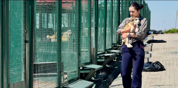 B�Y�K�EH�R��N �RNEK H�ZMET�, TAKD�R TOPLUYOR