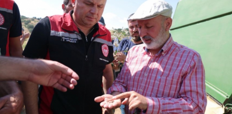 KOCAS�NAN�DA KARABU�DAY HASADIYLA TARIMDA YEN� D�NEM�N KAPISI ARALANDI