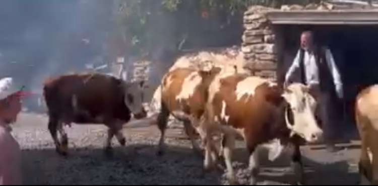 B�nyan�da saman balyalar� alevlere teslim oldu