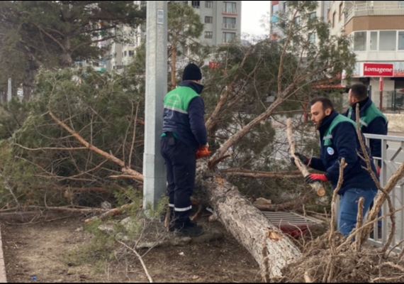 KAYSER� B�Y�K�EH�R, R�ZG�RA KAR�I TEYAKKUZDA