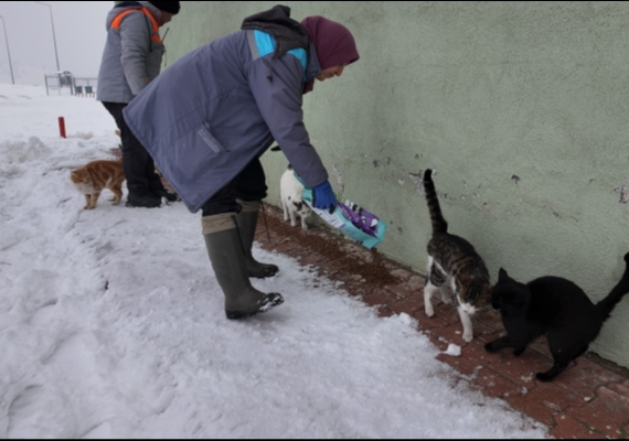 B�Y�K�EH�R�DEN �D�LS�Z DOSTLARA� MERHAMET EL�: SO�UK G�NLERDE SICAK B�R DOKUNU�