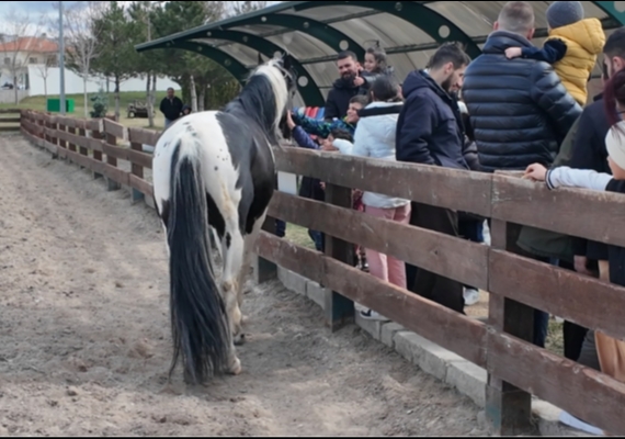 B�Y�K�EH�R��N HAYVANAT BAH�ESݒNDE BAYRAM YO�UNLU�U: 40 B�N Z�YARET��