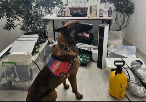 Kayseri�de 1 ki�iye uyu�turucuya g�zalt�s�